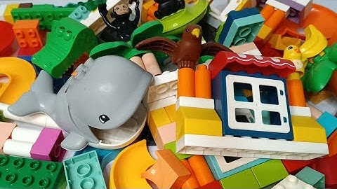 Satisfying Building Blocks Marble Run ASMR coaster House Whale and funny animals course