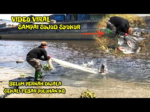 JALA IKAN DI SUNGAI BESAR YANG SEDANG SURUT TEPAT DI KAWANAN IKAN BESAR
