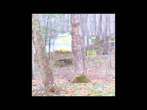 3lb Tannerite Blast
