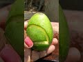 স্টাইল করে আম মাখা 🤤😍#ytshorts #food #viral #trending #design #mango #chat #share