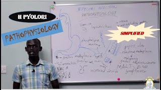 H Pylori Infection Pathophysiology