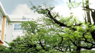 駒澤大学キャンパスイメージムービー Youtube