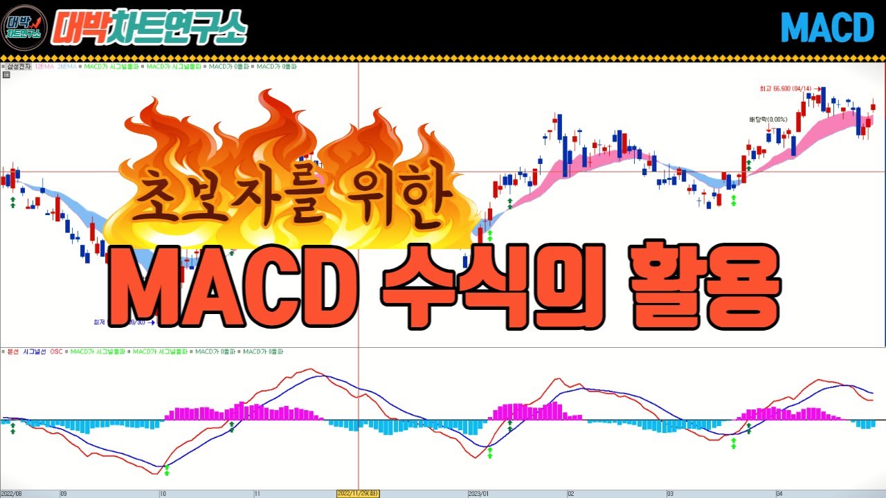 초보자를 위한 MACD 수식의 활용/대박차트연구소