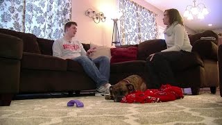 Boxer nearly dies saving her owner