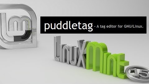 Puddletag : An audio tag editor for Linux Mint