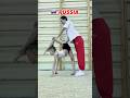 Ref:nOV3ZvQLACY Russia vs france - les �tirements pour devenir souple #gym #souplesse