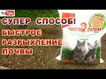 КОШАЧИЙ ДРЕВЕСНЫЙ НАПОЛНИТЕЛЬ-ОТЛИЧНЫЙ РАЗРЫХЛЕНИЕ ДЛЯ ГРЯДОК.НА ТАКОЙ ГРЯДКЕ РАСТЕНИЯ РАСТУТ КАК ..