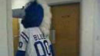 Indianapolis Colts Blue Mascot meets Zack Legend
