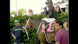2014 Hastings Handicap