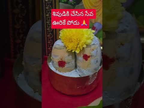 శివుడికి చేసిన సేవ ఊరికే పోదు ##ytstudio##shorts##viralvideo