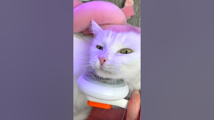 УХАЖИВАЕМ ЗА КОТИКОМ ПРАВИЛЬНО c OZON😍
