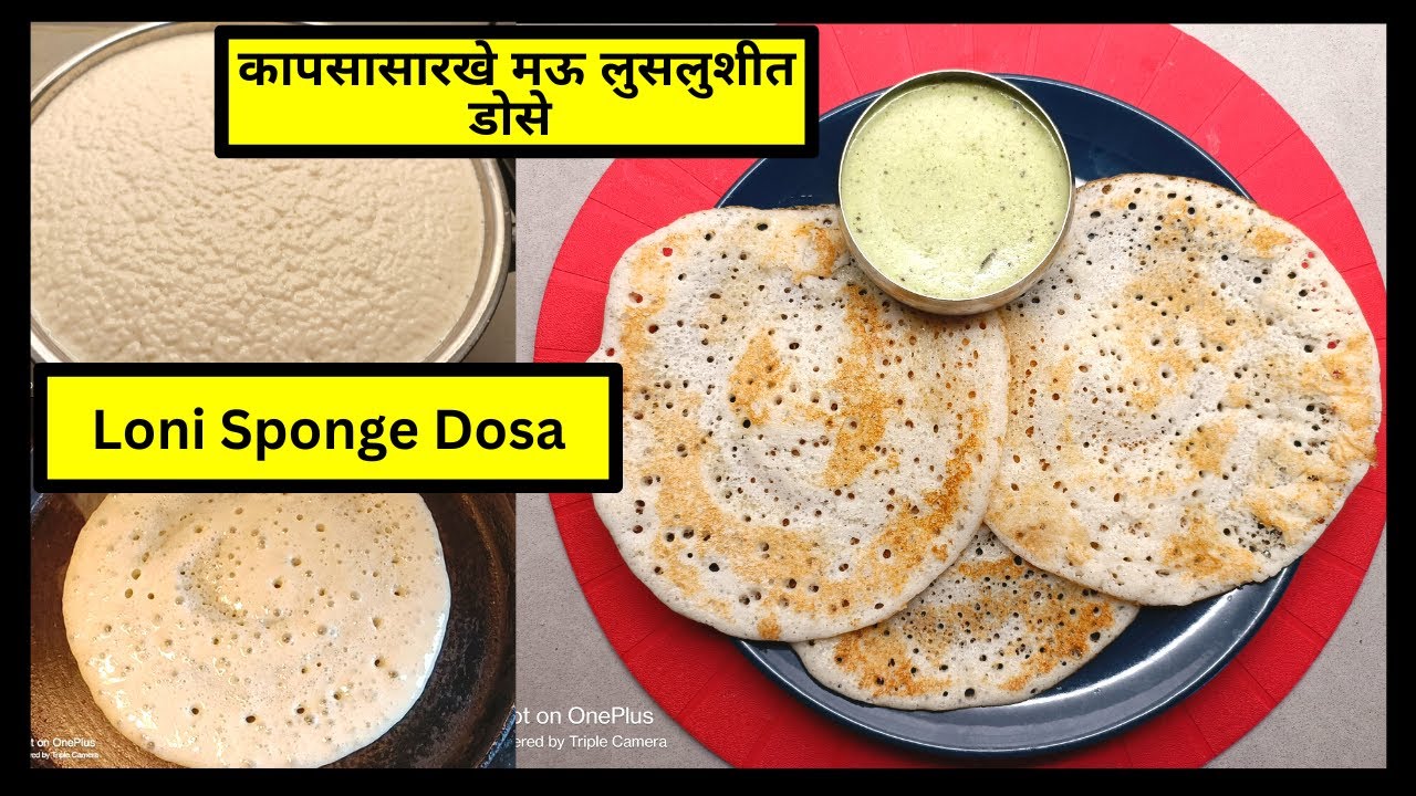 मऊ लसलुशीत डोसे | Loni Sponge Dose | Set Dosa #spongedosa #dosa # ...