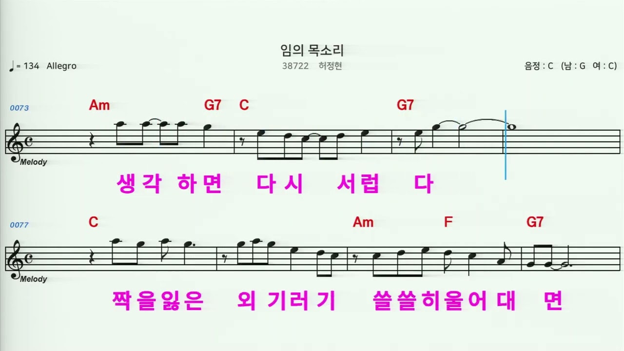 (MR)  38722  임의목소리 - 허정현