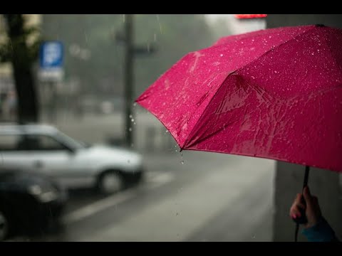 Rain whatsapp status video  Rain video  Rainy day  Relaxing video  Rain short video