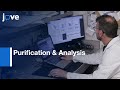 Purification & Analysis: C. Elegans Extracellular Vesicles l Protocol Preview