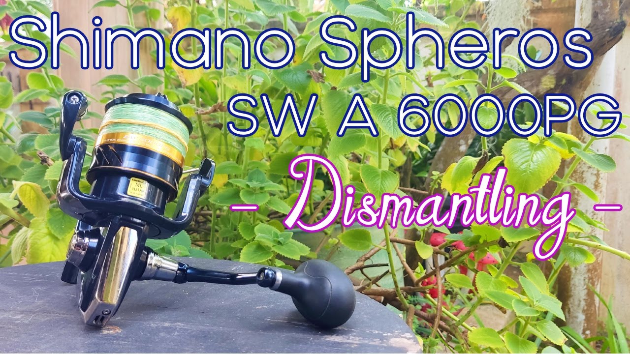 Shimano Spheros SW A 6000PG - Part 1/2 Dismantling - Reel service