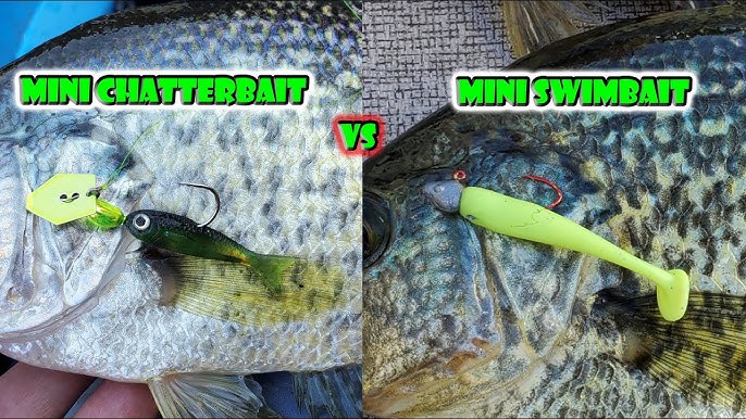 Crappie BFS Fishing with Z-Man Flashback Mini Chatterbait and Crappie  Magnets 