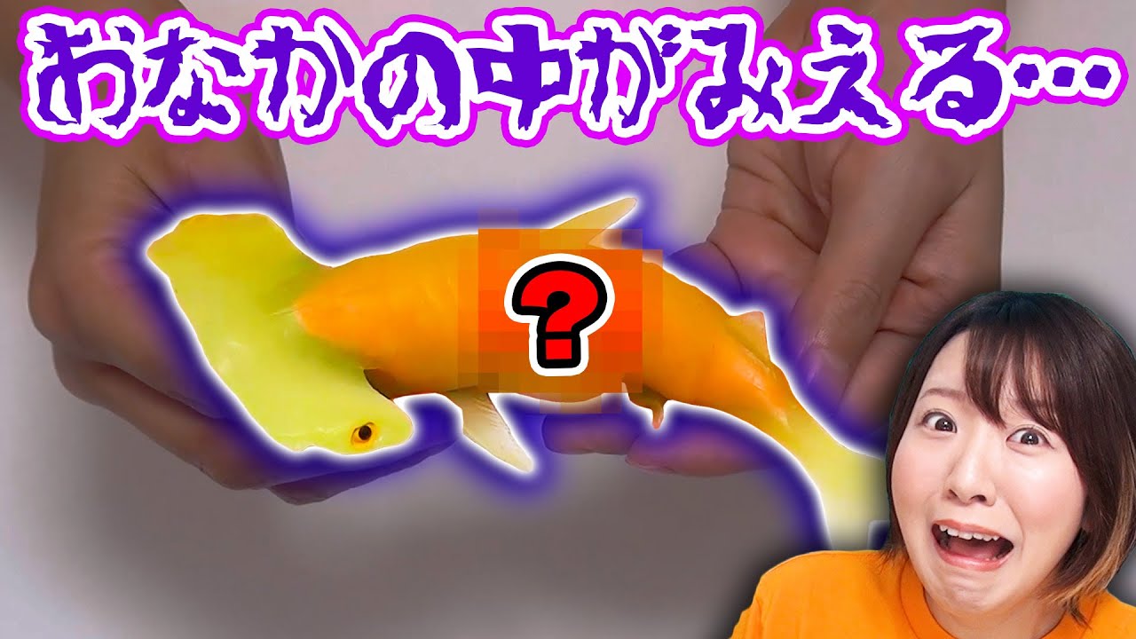 おなかの中が丸見え!?😱 なぞのサメスクイーズ開封したら奇跡起きたwww