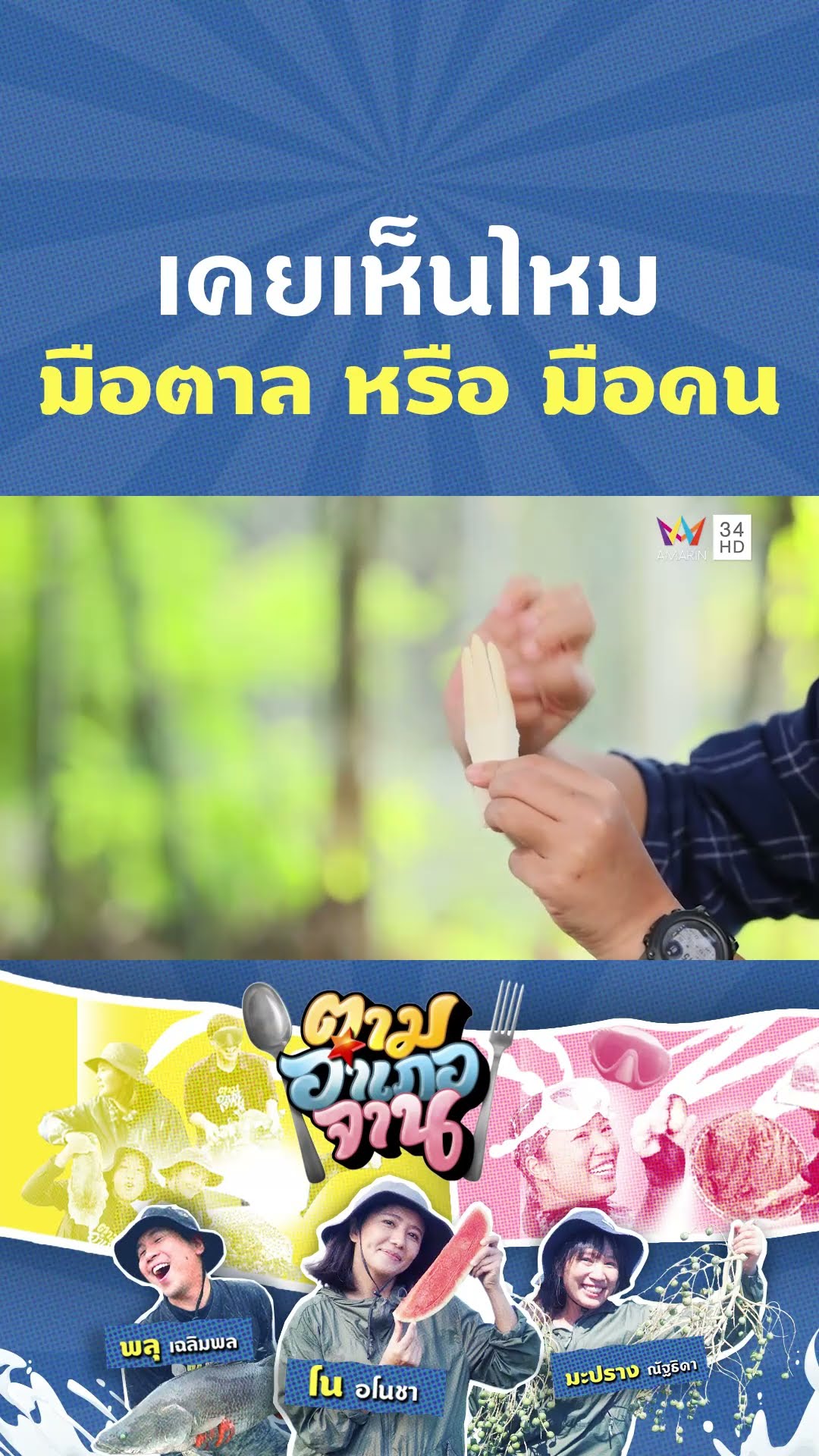 เคยเห็นไหม มือตาล หรือ มือคน | ตามอำเภอจาน