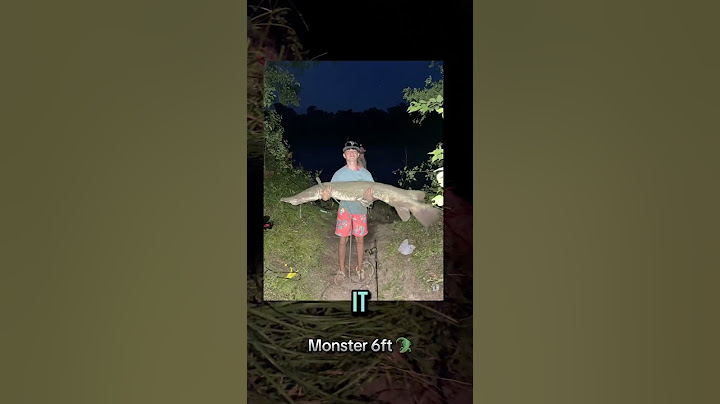 Lari pertama malam ini, monster sungai Texas setinggi 6 kaki dan berat 120-130 pon 🐊