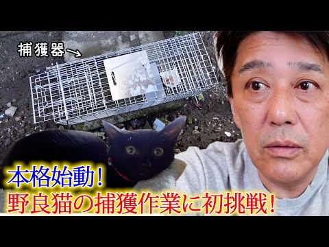 野良の子猫の捕獲作業に初挑戦！保護活動の本格始動です