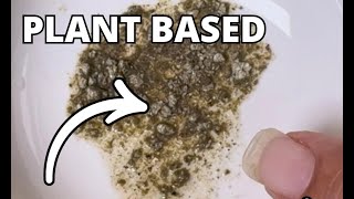 Standard Process Trace Minerals-B12 - Thyroid &amp; Cell Functioning Support with Iodine, Zinc &amp; Copper