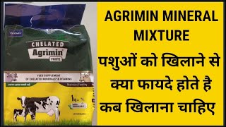 पशुओं मे Agrimin Forte Mineral Mixture के फायदे | Chelated Agrimin Forte Mineral Mixture के फायदे