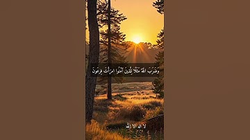 الشيخ محمد عبد الوهاب الطنطاوى --نوادر روعه ممتاز جدا رحمه الله #تلاوات