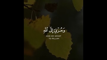 قال إنما أشكو بثي وحزني إلى الله وأعلم من الله ما لا تعلمون | سورة يوسف | القارئ مشاري فالح