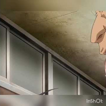 rin x sen