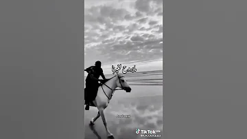 احنا مش زي حد ولا حد زينا 