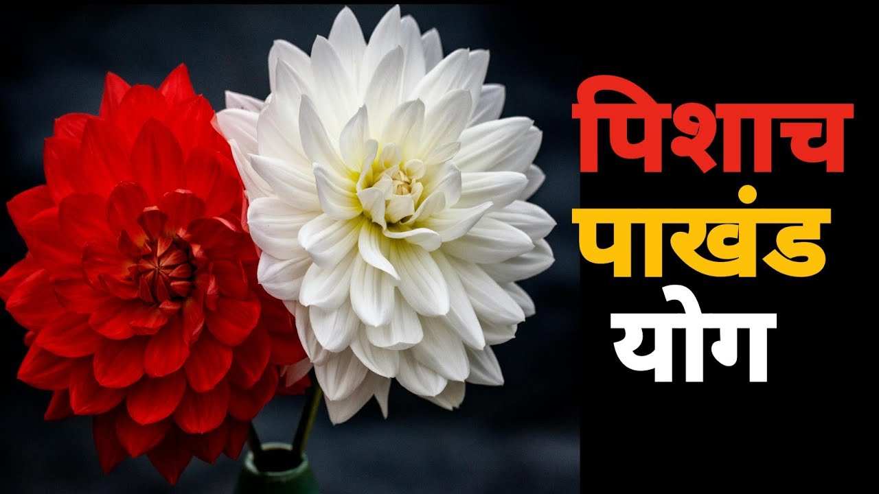 Pichas & Pakhand Yoga in Vedic Astrology - YouTube