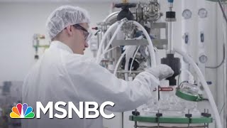 Potential COVID-19 Vaccine Shows Promise In Early Trial | The 11th Hour | MSNBC