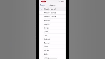 iOS 17 ringtone reflection #ios17 #ios #apple #fyp #fypシ #iphone #iphone15