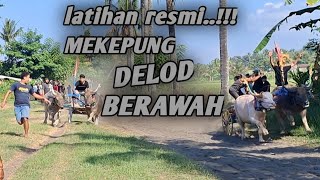 LATIHAN MAKEPUNG DELOD BERAWAH #makepung#2024