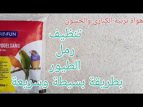 تنظيف رمل الطيور  