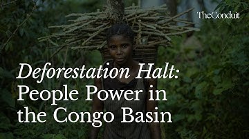 Deforestation Halt: People Power in the Congo Basin