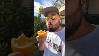 Want To Try My Oranges