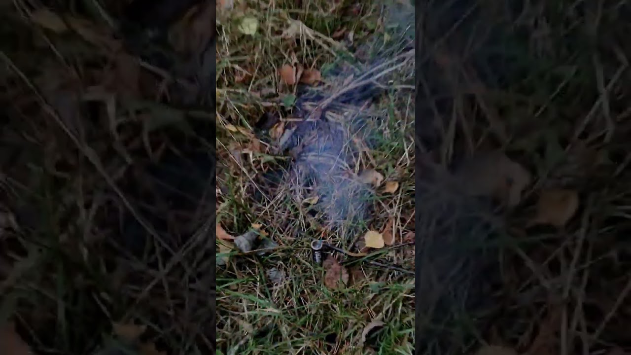 test petardy Viper 1 🧨 video je na kanále 🤩🔥 pro více videí dej odběr 