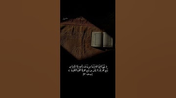 تلاوة هادئة #quran #اكسبلور #المصحف #قرآن #لايك #راحة_نفسية #جمعة_مباركة
