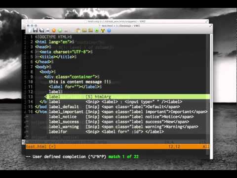 vim snipet test