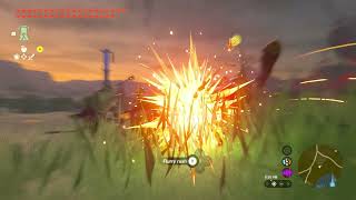 Flurry Rush Animation & VFX Reference | Zelda TOTK