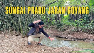 Download Lagu PENARIKAN PUSAKA KUJANG PRABU GAIB❗️ MP3 Download Lagu PENARIKAN PUSAKA KUJANG PRABU GAIB❗️ MP3
