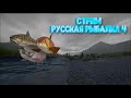 Стрим, р. Яма, Русская Рыбалка 4 / Russian Fishing 4 #rf4  #рр4