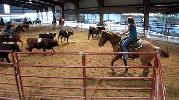 Valley View Ranch - Miss N Chiefs - sorting 3