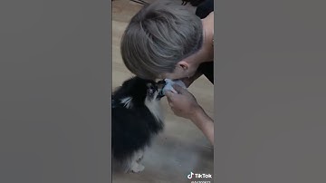 BTS with yeontan 💜 #bts #shorts #btsshorts #yeontan #v #tannie