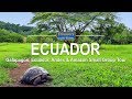 Discovery Tour of the Galapagos, Ecuador, Andes & Amazon