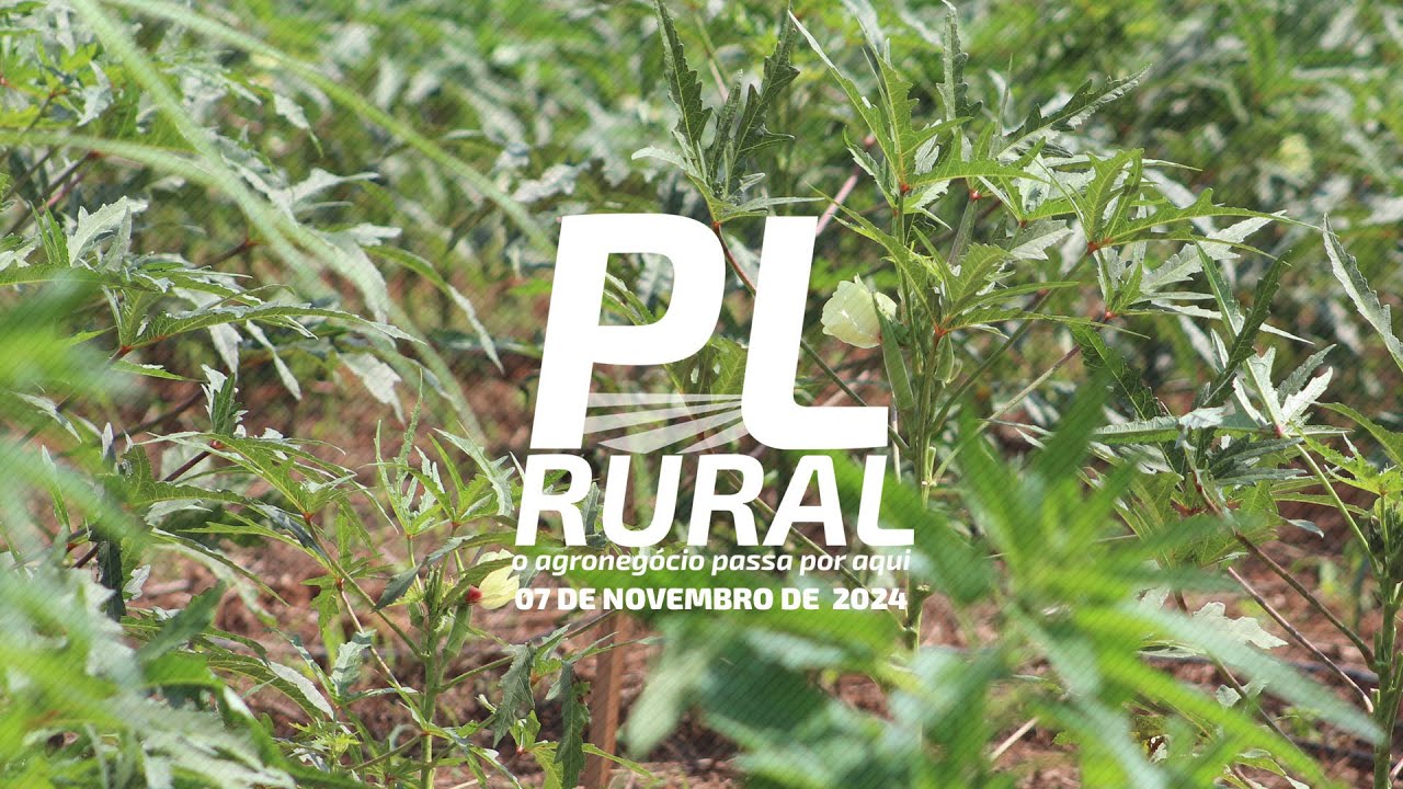 Programa Pontes e Lacerda Rural 07 de Novembro de 2024 - YouTube