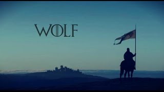house stark || wolf