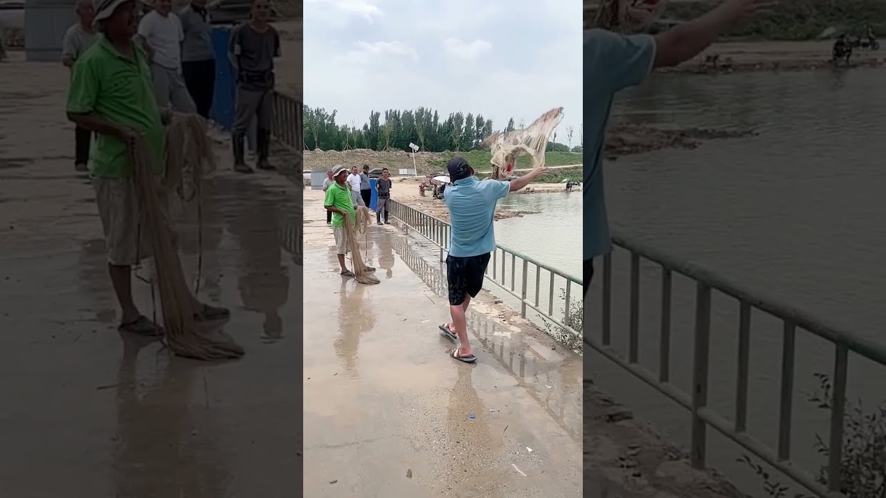 fishing  catching in forest river #fishing #fisherman